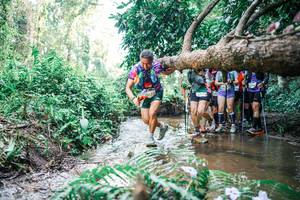 BIB: 
                            <button type="button" onclick="openModal(25470737)" class="btn btn-primary btn-sm float-right btn-popup" data-toggle="modal" data-target=".modal-high-quality">
                        <i class="fas fa-shopping-cart"></i> Add to Cart
                    </button>
                                            <button type="button" onclick="isThisMe(25470737, true)" class="btn btn-success btn-sm float-right btn-popup btn-isme hidden" data-toggle="tooltip" data-placement="bottom" title="นี่คือรูปของคุณใช่ไหม คลิกที่นี่เพื่อเอาเข้าอัลบั้ม">
                        <i class="fas fa-plus"></i> Add to album
                    </button>
                    <button type="button" onclick="isThisMe(25470737, false)" class="btn btn-warning btn-sm float-right btn-popup btn-isnotme hidden">
                        <i class="fas fa-ban"></i> Remove from album
                    </button>